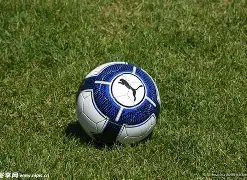 新赛季首战,预测,老鹰对决牛,开云体育,开云体育官网,开云体育app,开云体育平台,KAIYUN,SPORTS,kaiyun登录入口