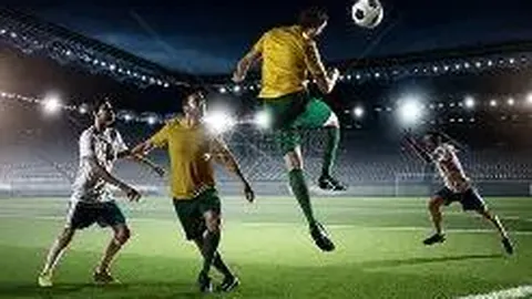 开云体育app入口 产品 110236 za5