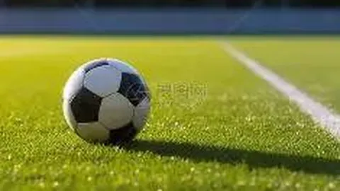 开云体育app入口 产品 131822 nrv